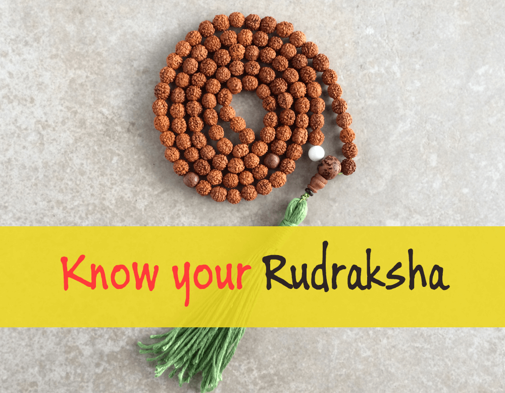 Unknown Facts about Rudraksha | It's Story & Significance - ReligiousKart