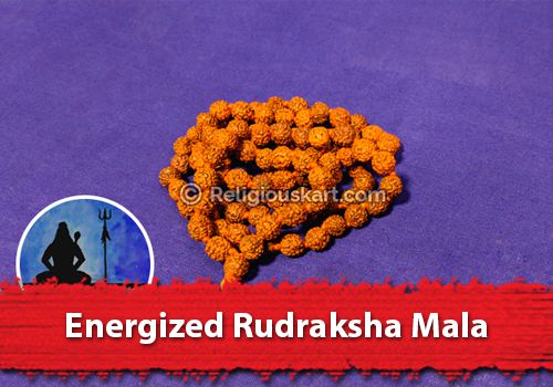 Energized Rudraksha Mala